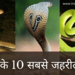 10 Most Venomous Snakes in India